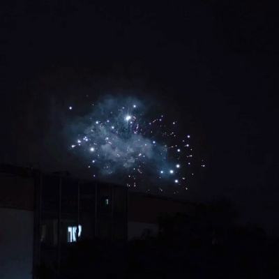 无业游仙